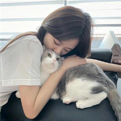 第八日的蝉